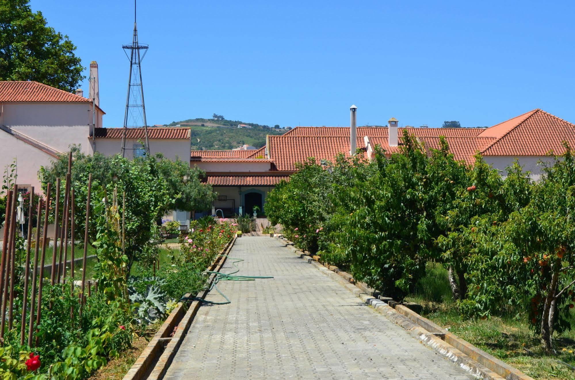Quinta Do Covanco Alenquer Exterior photo